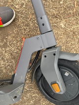 A. Williams review photo