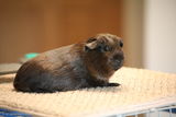 Nancee W. review photo