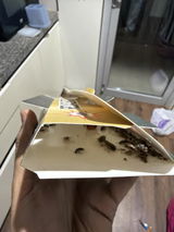 Abhijit Prasad review photo