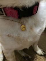 Grace review photo