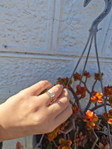 Megan Barrington review photo