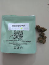 Aurelien T. review photo