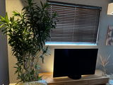 盛 吉田 review photo