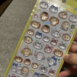 User picture