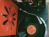 Andrea Todorovic review photo