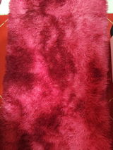 Plesa Violeta review photo