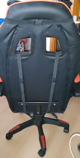Vasile review photo