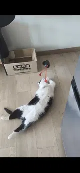 お客様の投稿写真