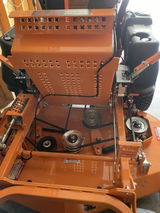 Al M review photo