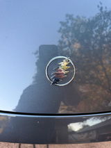 ralph w. review photo