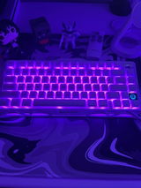 kyle review photo