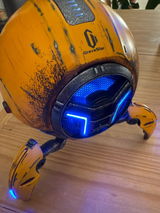 Ingo review photo