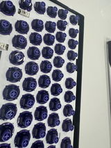 Ava v.d. review photo