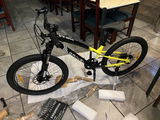 Tadeo review photo