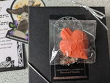 Kali M. review photo