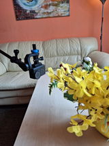 Branislav Valovic review photo