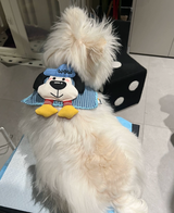 Chloe review photo