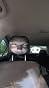 Robert Williams review photo