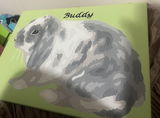Sophia review photo
