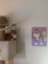 Nyla review photo