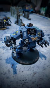 Salamanders SMIB review photo
