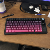 Steven N. review photo
