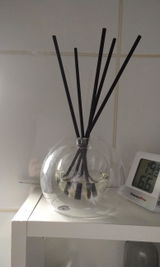 Lynn Kettle review photo