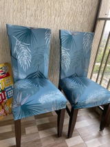 Pragati V. review photo