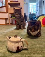 Etsy customer review photo