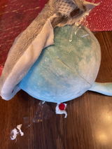 D.Z. review photo