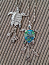 Donna S. review photo