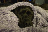 Kris C. review photo