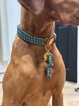 Tillie review photo