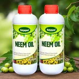 GGV 100% Organic Activated Neem Oil for Gardening & Farming – Fast Action Bio-Pesticide (UAE Special)