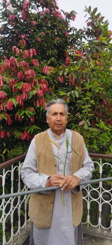 Tauseef Shehzaf review photo