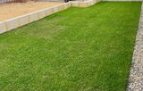 Very happy customer review photo