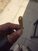 Wenger review photo