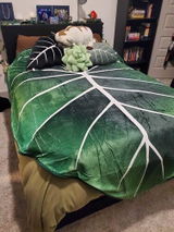 Tyler S. review photo