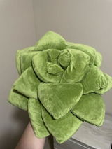 Judiann V. review photo
