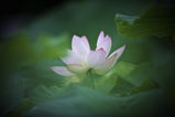 浅井修二 review photo