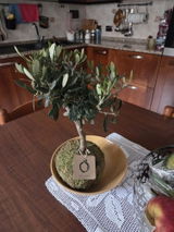 Matilde antonelli review photo
