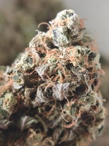Hilsgrow review photo