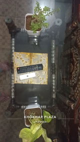 W.N. review photo