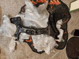Bryse Ferraro-Hauck review photo