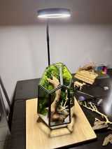 Keith Beran review photo