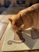 Alfombrilla Gatito Multiusos para el Hogar
