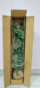 LOKESH GAUR review photo