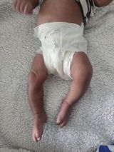 Anik review photo