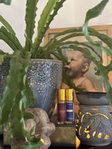 Tracey-Leigh Lawson review photo
