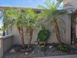 John C in Arizona review photo